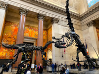 Natural History Museum NYC