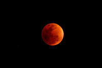 2015 Lunar Eclipse